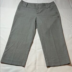 Ellen Tracy Silver-Gray Tailored Pants